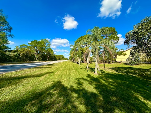 view of community featuring a lawn