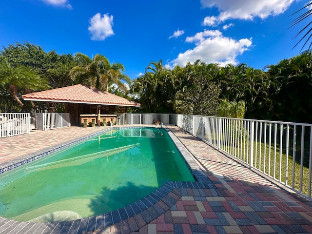 view of pool featuring a patio area