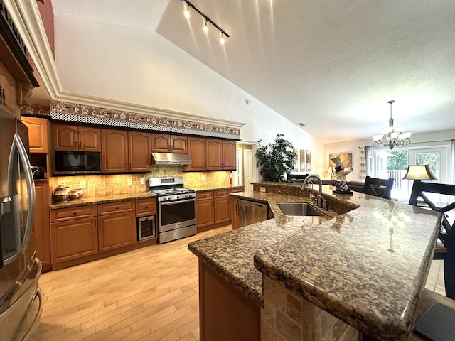 17976 88th Rd N, Loxahatchee, FL 33470 - kitchen featuring appliances with stainless steel finishes, under cabinet range hood, a sink, a chandelier, and tasteful backsplash