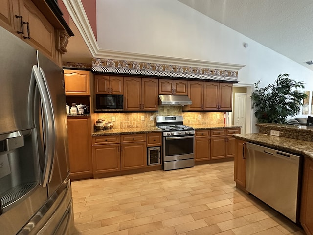 17976 88th Rd N, Loxahatchee, FL 33470 - kitchen with stainless steel appliances, under cabinet range hood, tasteful backsplash, stone counters, and high vaulted ceiling
