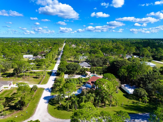 bird's eye view