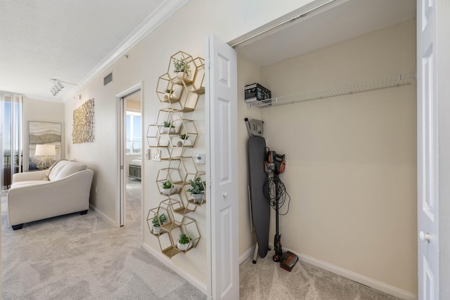 bathroom featuring crown molding