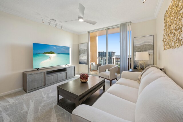 carpeted living room with ceiling fan, ornamental molding, and rail lighting