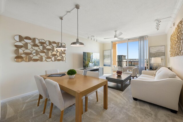 carpeted dining area featuring ceiling fan, crown molding, a textured ceiling, and track lighting