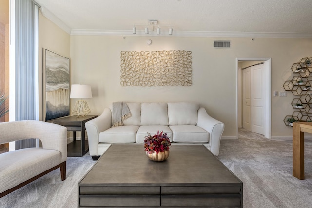 carpeted living room featuring ornamental molding and a textured ceiling