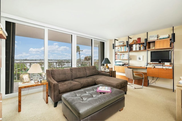 carpeted living room with a wealth of natural light