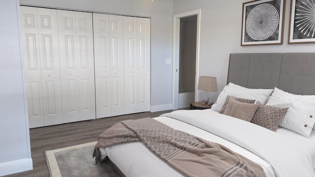 bedroom featuring a closet and dark wood-type flooring