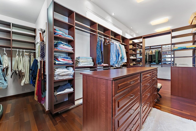 spacious closet featuring dark hardwood / wood-style floors