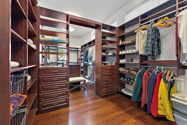 spacious closet with dark wood-type flooring