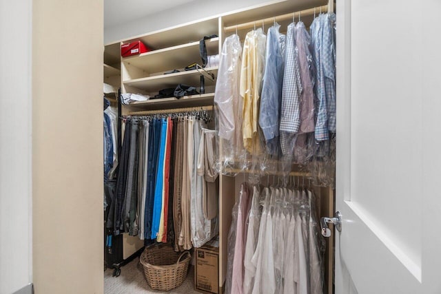 walk in closet with carpet floors