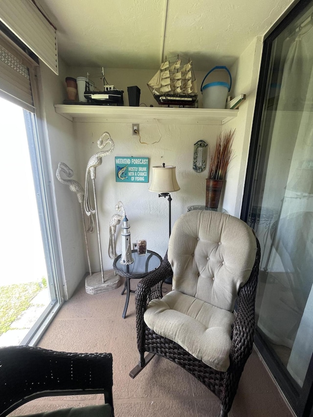 living area with carpet flooring and a healthy amount of sunlight