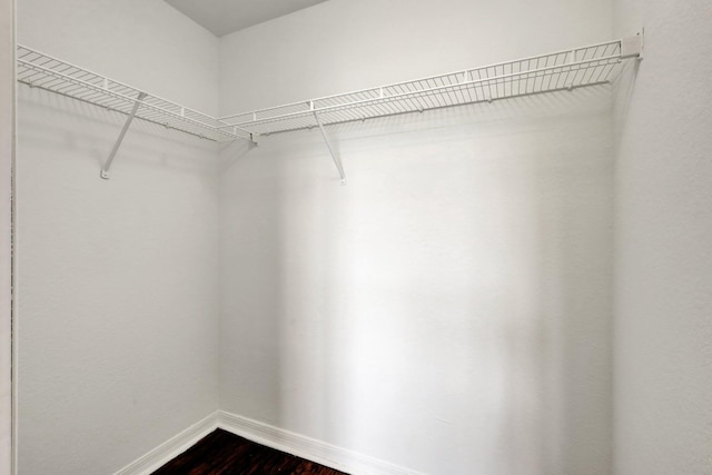 walk in closet with dark hardwood / wood-style flooring