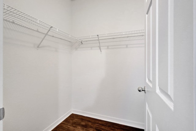 spacious closet featuring dark hardwood / wood-style floors