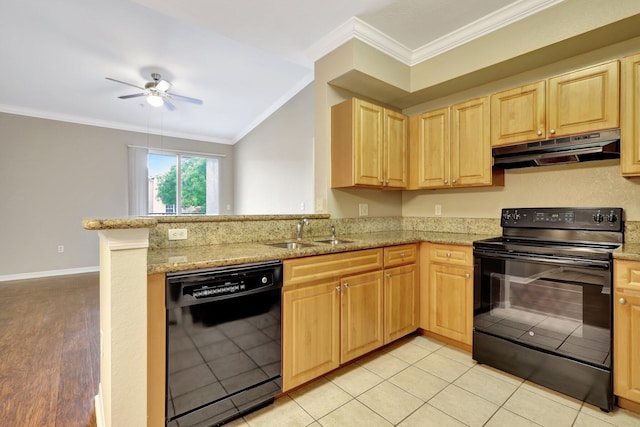 kitchen featuring sink, light stone counters, kitchen peninsula, black appliances, and light wood-type flooring