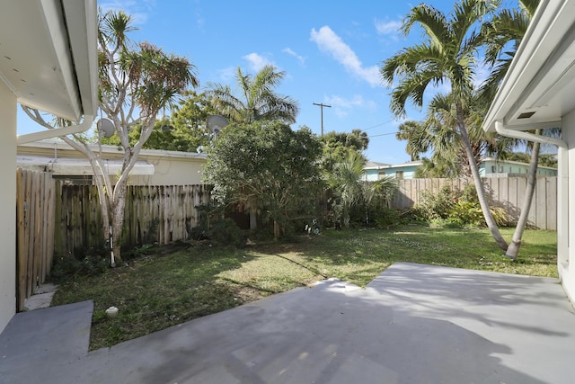 view of yard featuring a patio area