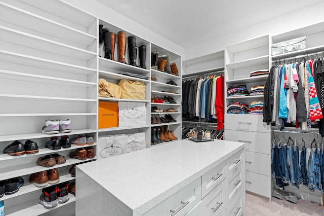 spacious closet with light colored carpet