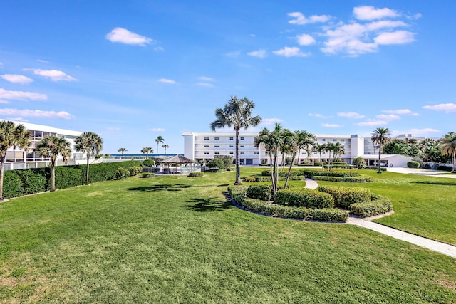 view of property's community with a yard