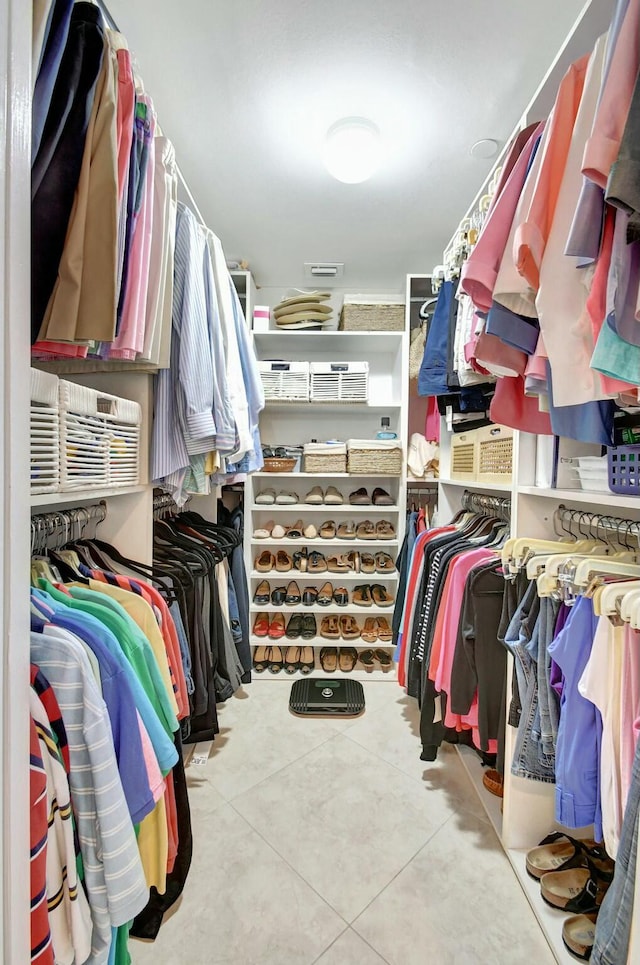 view of spacious closet