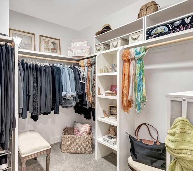 walk in closet featuring carpet flooring