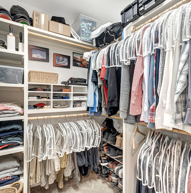 walk in closet featuring carpet