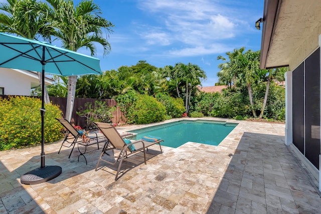 view of pool with a patio