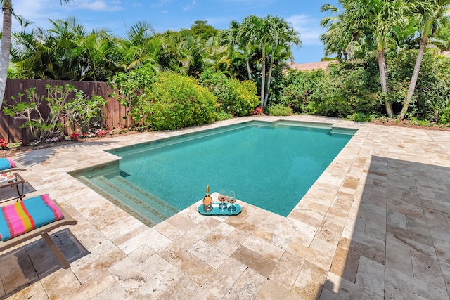 view of swimming pool featuring a patio area