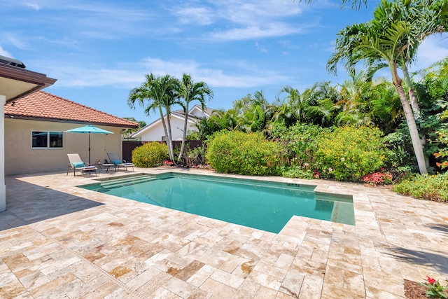 view of swimming pool featuring a patio