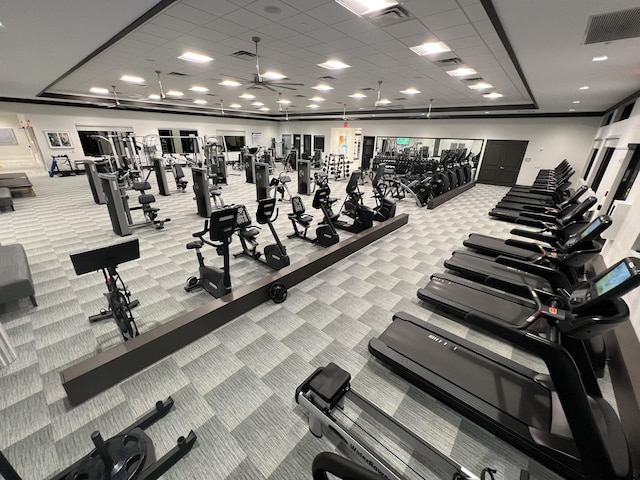 workout area featuring a paneled ceiling, ceiling fan, and carpet floors