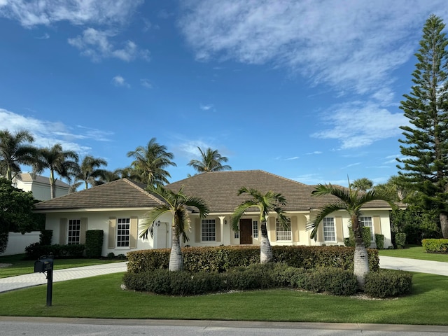 ranch-style home featuring a front lawn