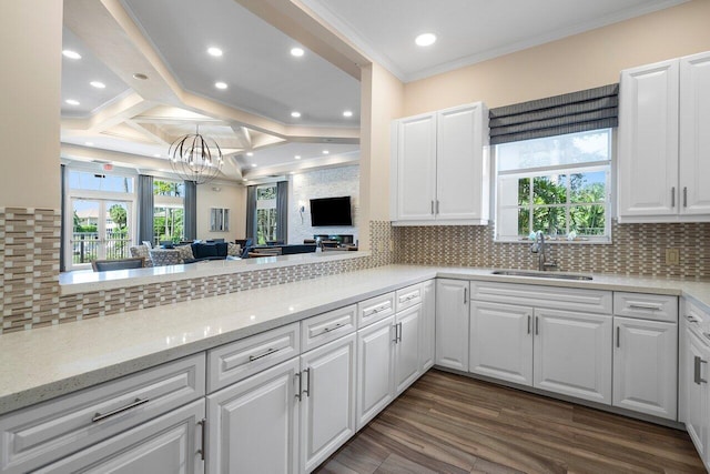 kitchen with dark hardwood / wood-style flooring, tasteful backsplash, ornamental molding, sink, and white cabinetry