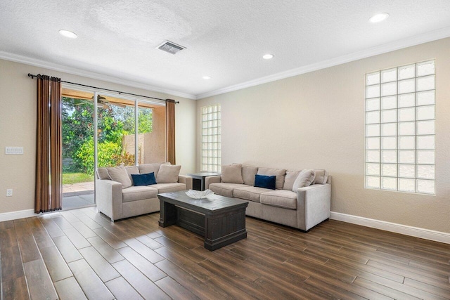 living room featuring a textured ceiling, a healthy amount of sunlight, and dark hardwood / wood-style floors