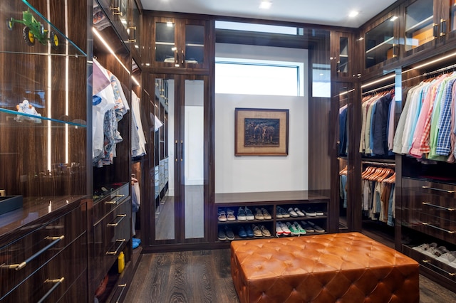 walk in closet featuring dark hardwood / wood-style flooring