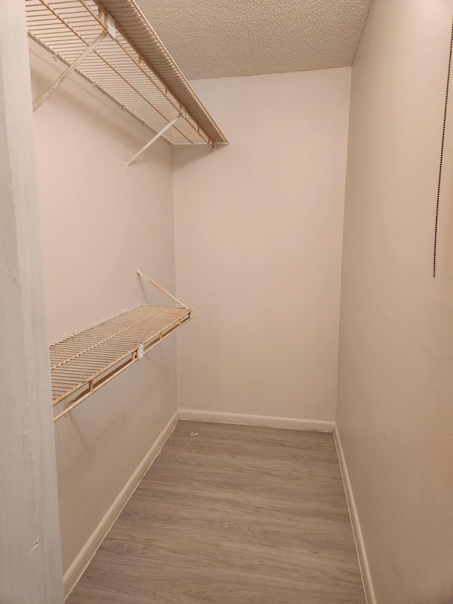 spacious closet featuring hardwood / wood-style flooring