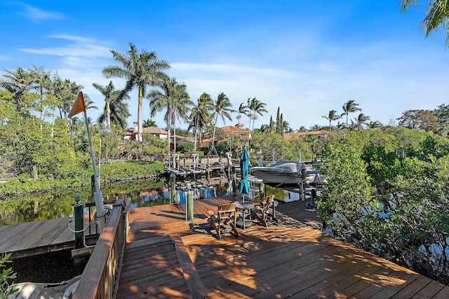 dock area featuring a water view