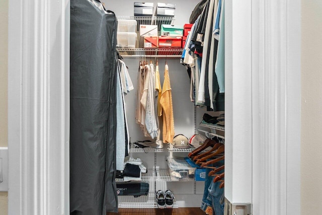 spacious closet with hardwood / wood-style flooring