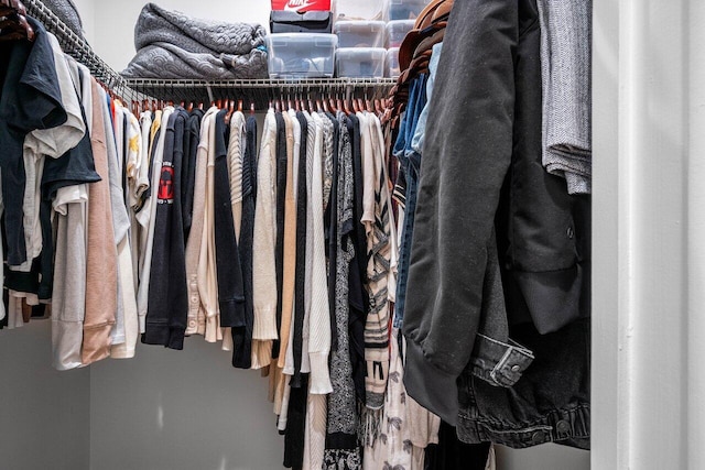 view of walk in closet