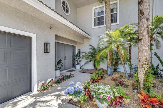 view of exterior entry with a garage and stucco siding