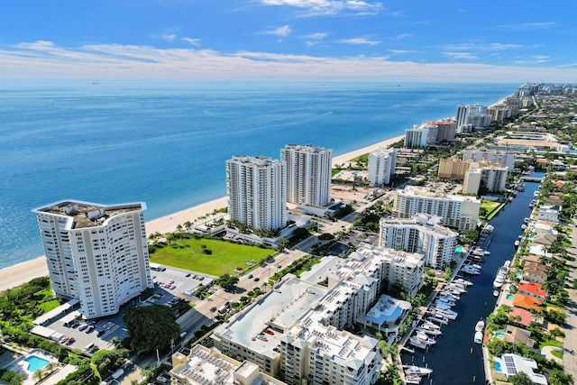 aerial view with a water view and a view of the beach