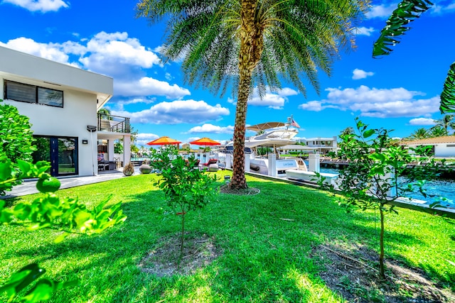 view of yard with a balcony