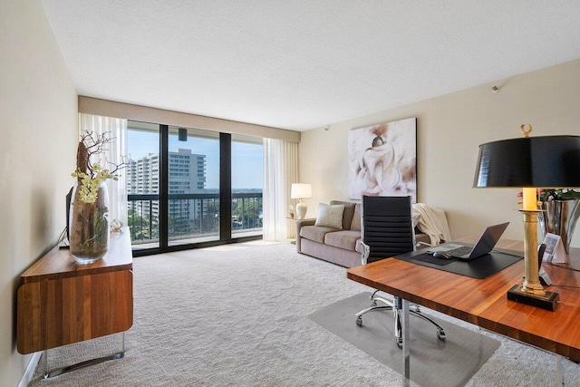 4545 N Ocean Blvd Unit 11C, Boca Raton, FL 33431 - office space featuring a textured ceiling and carpet