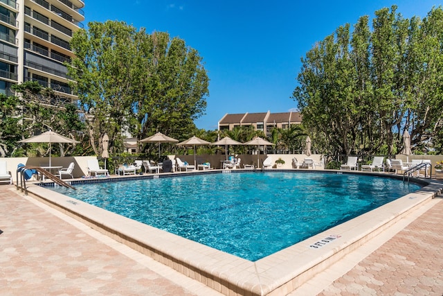 view of swimming pool with a patio