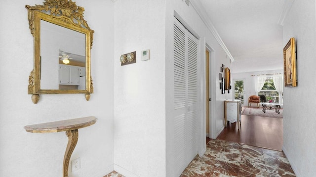 hallway with crown molding and wood-type flooring