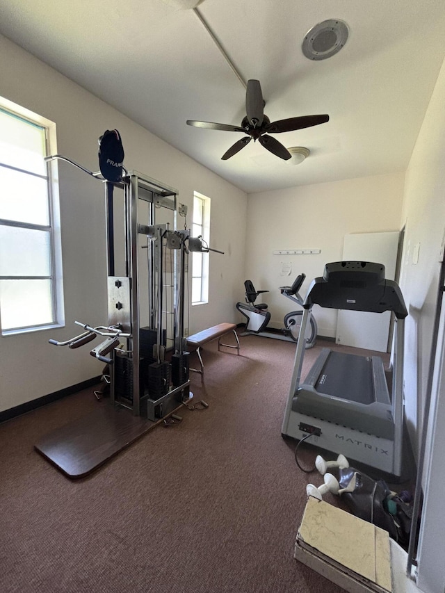 workout room with ceiling fan, plenty of natural light, and carpet