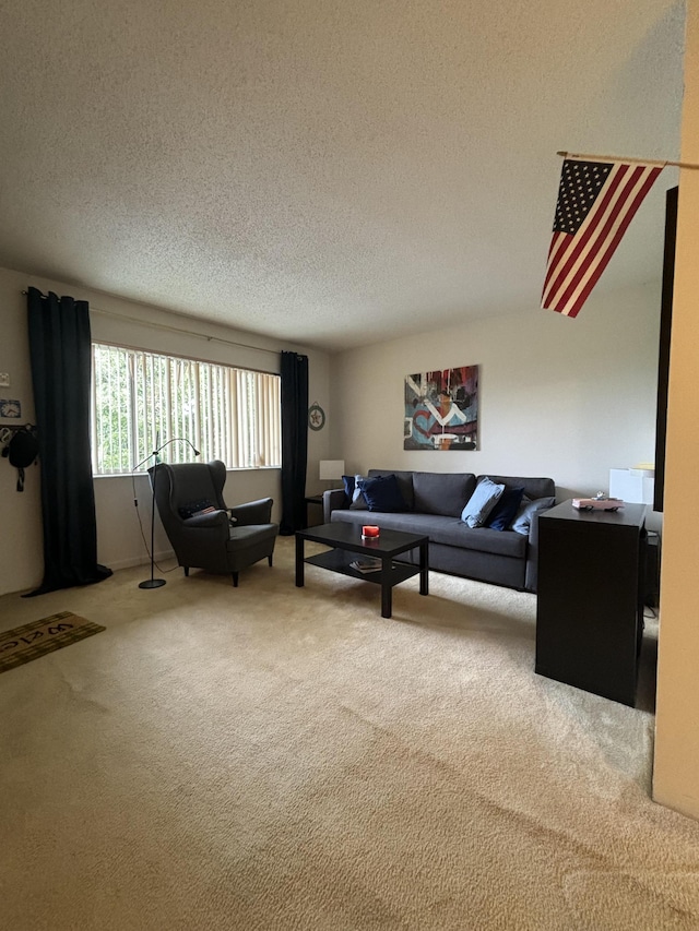 living room featuring a textured ceiling and carpet floors