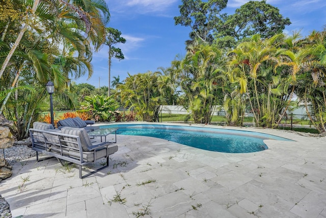 view of pool featuring a patio area