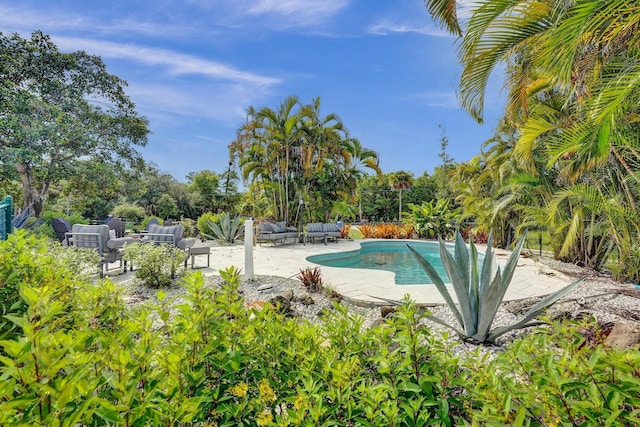 view of swimming pool with a patio