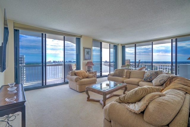 living room with plenty of natural light and a wall of windows