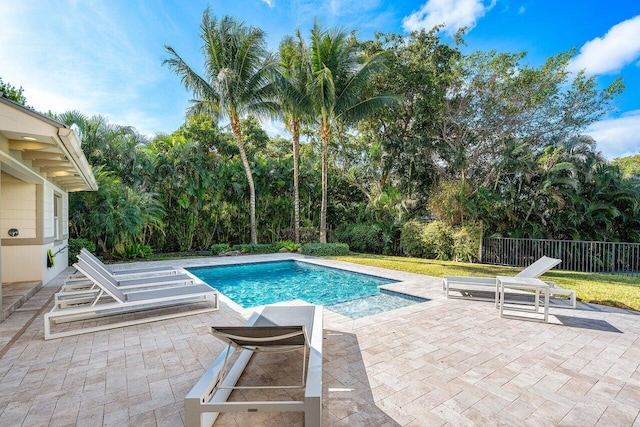 view of pool featuring a patio