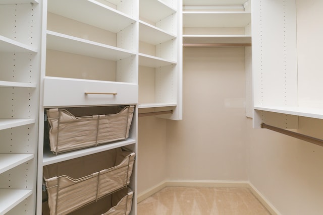 spacious closet with light colored carpet