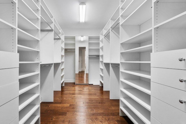 spacious closet featuring dark hardwood / wood-style flooring